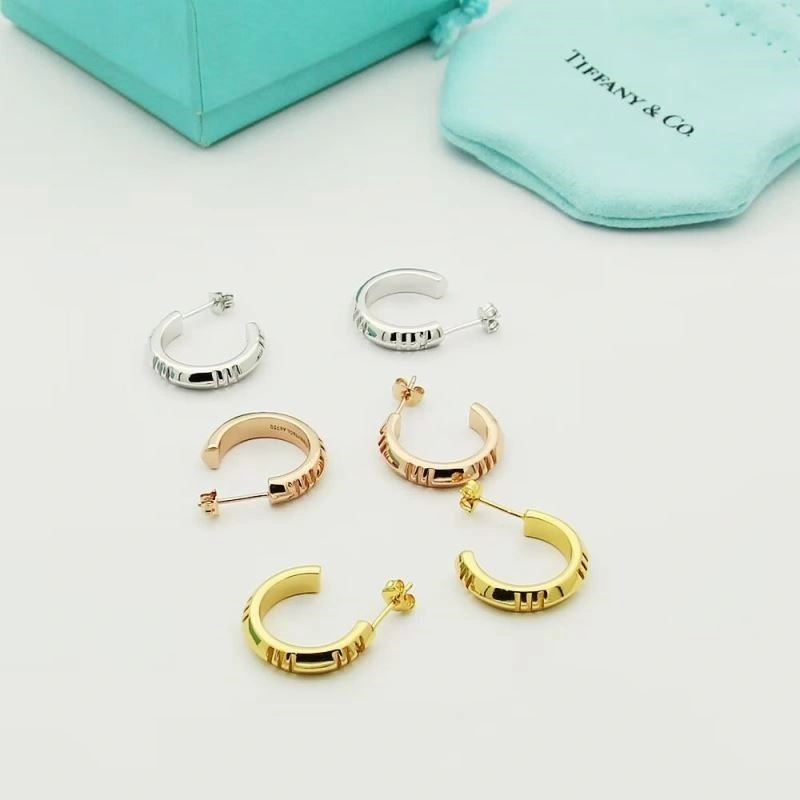 Tiffany Earrings SmoothTexture 253129
