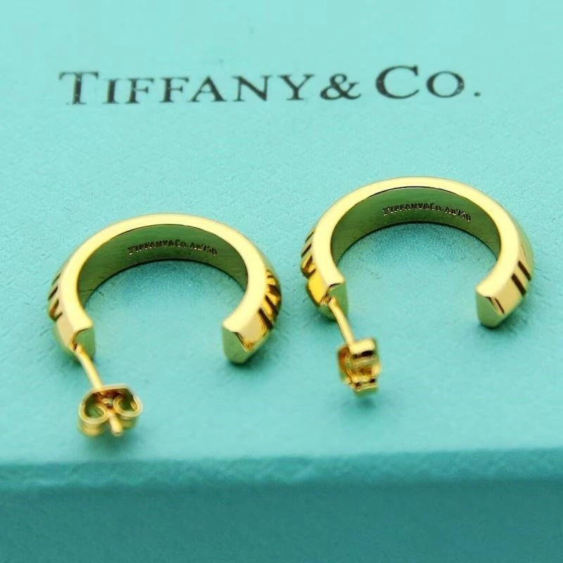 Tiffany Earrings SmoothTexture 253129