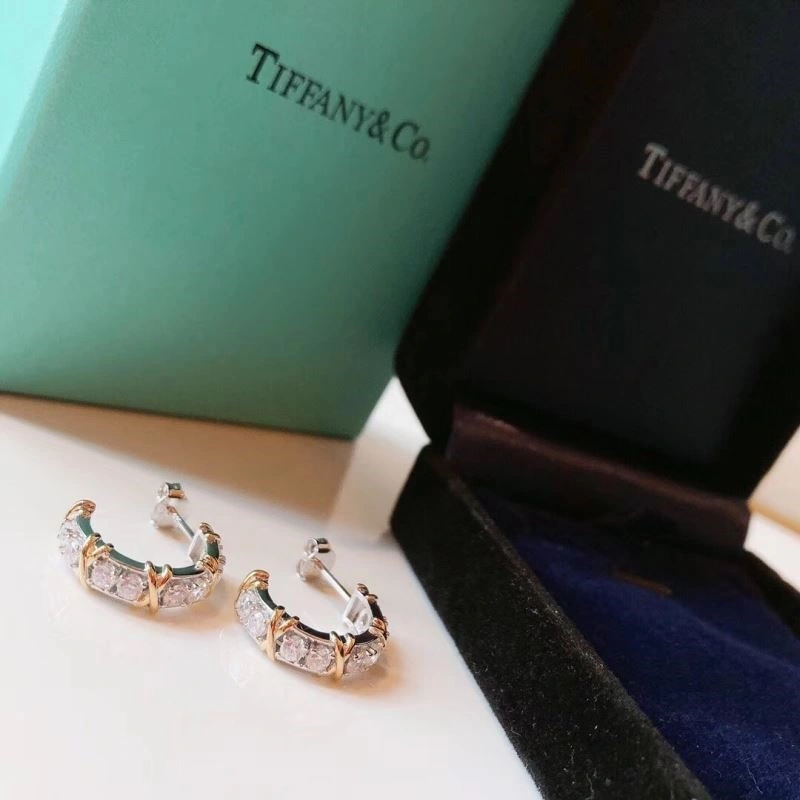 Tiffany Earrings EasyCare 253135