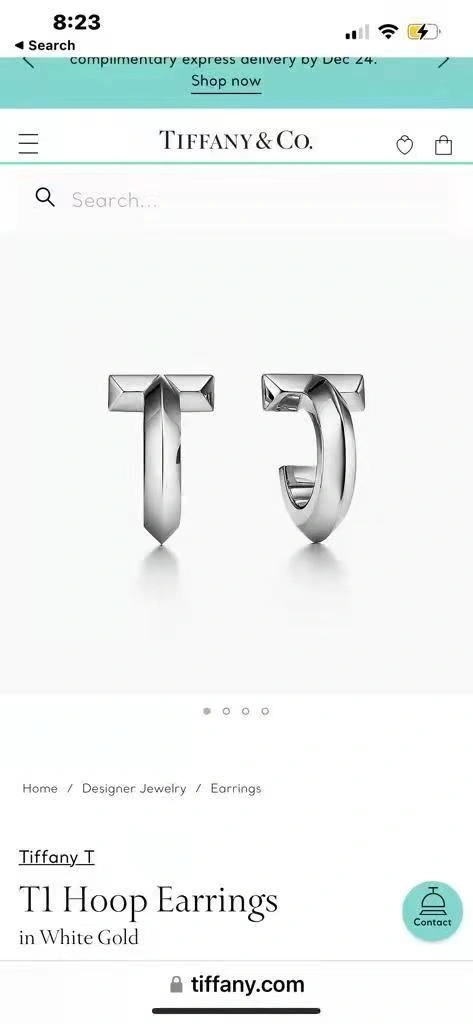 Tiffany Earrings ZipUp 253152