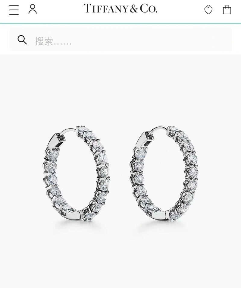 Classic Tiffany Earrings 253146