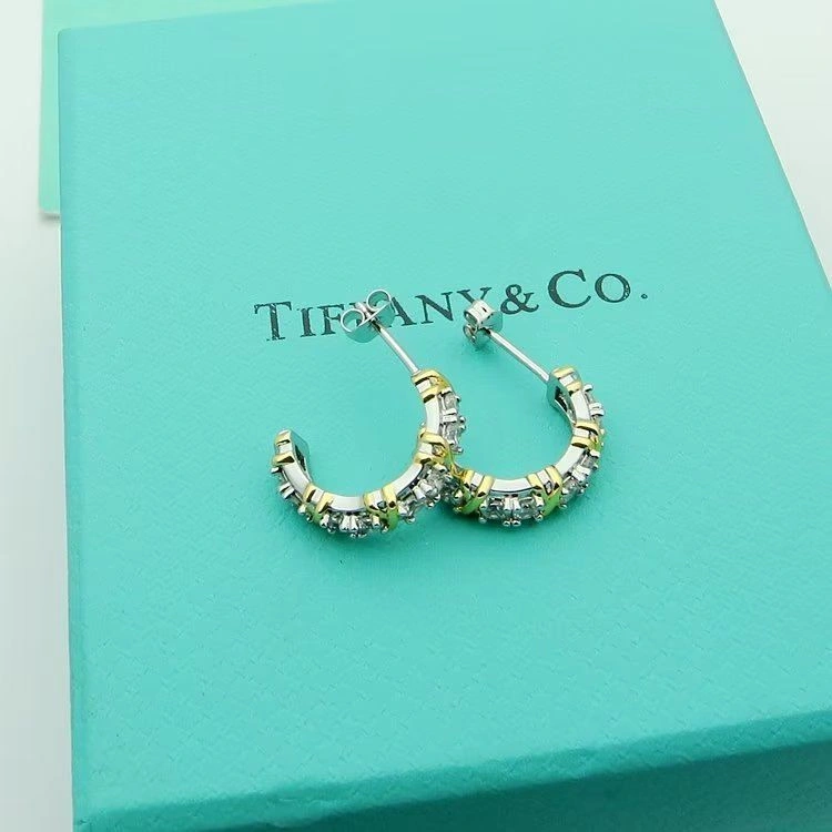 Tiffany Earrings WeatherProof 253132