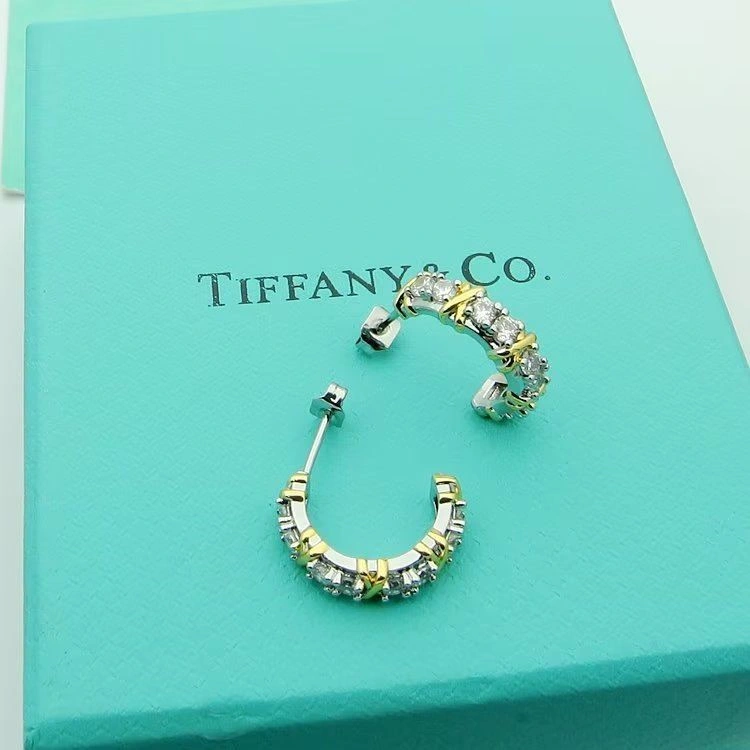 Tiffany Earrings WeatherProof 253132