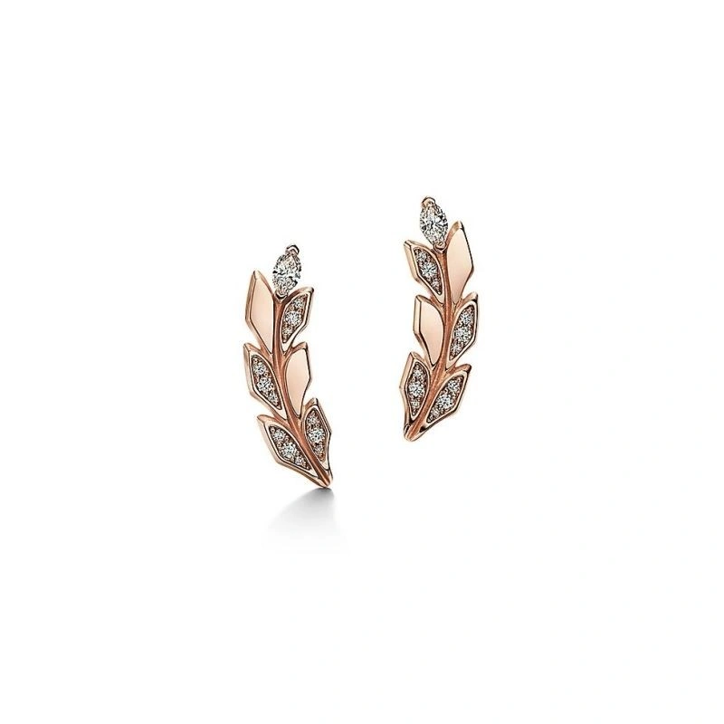 Tiffany Earrings Sophisticated 253147