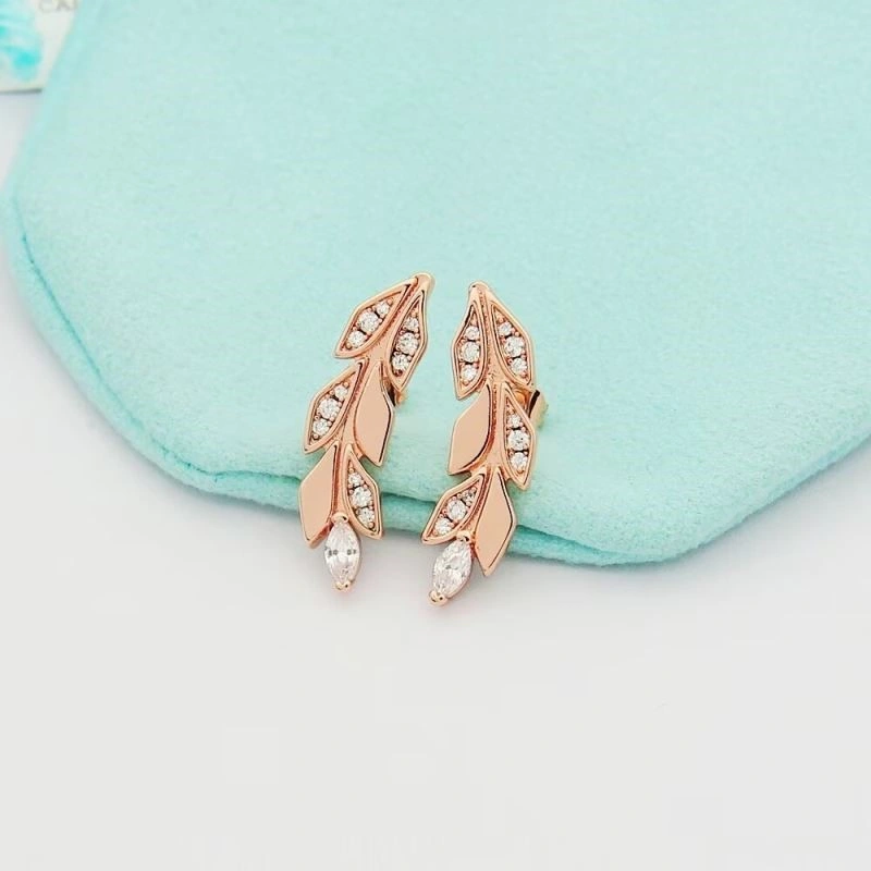 Tiffany Earrings Sophisticated 253147