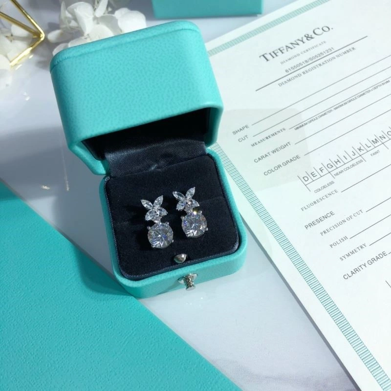 Tiffany Earrings Unique 253124