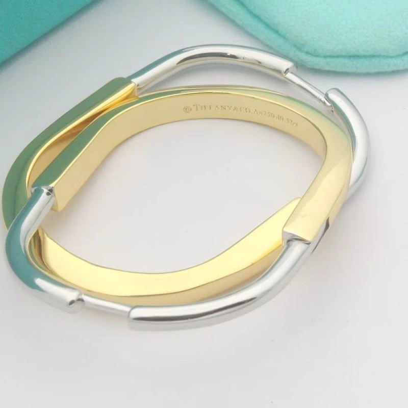 Tiffany Earrings UrbanChic 253123