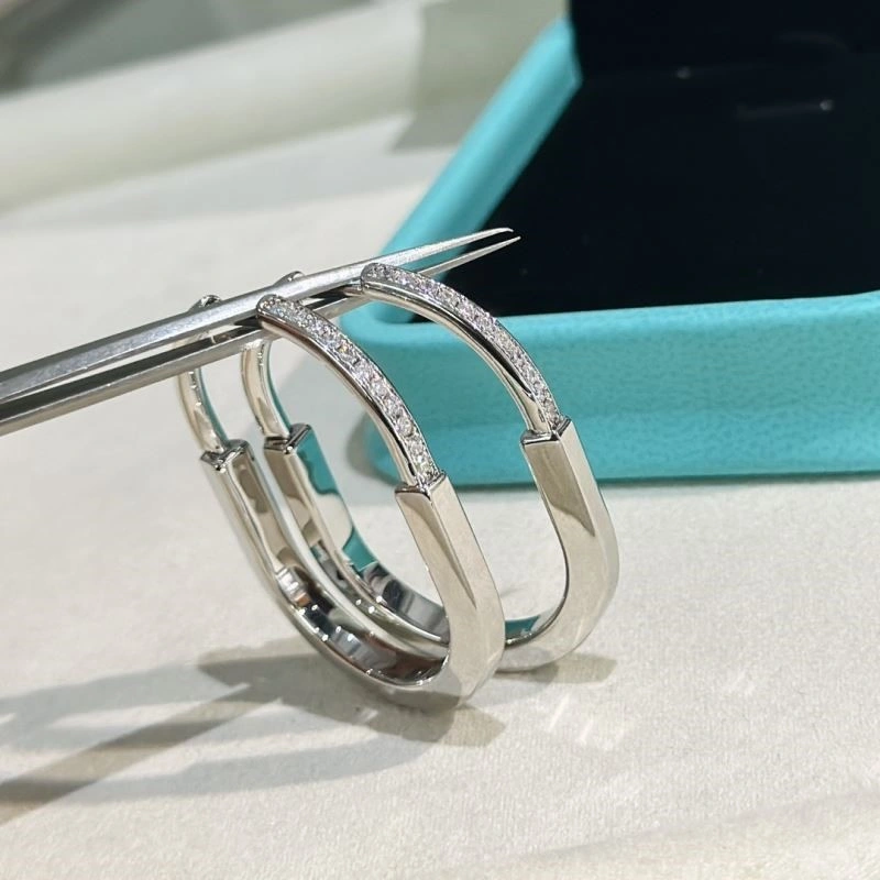 Tiffany Earrings Original 253121