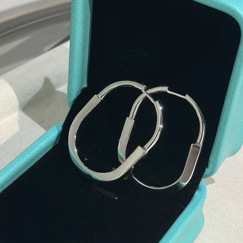 Tiffany Earrings Original 253121