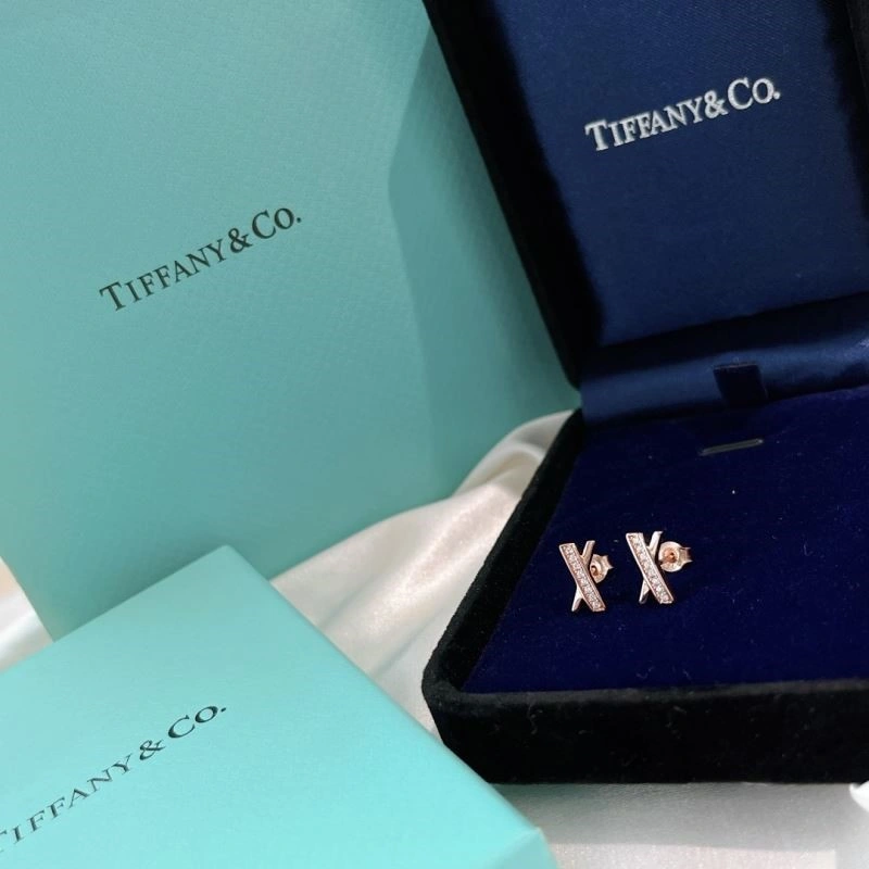 Affordable Tiffany Earrings 253120
