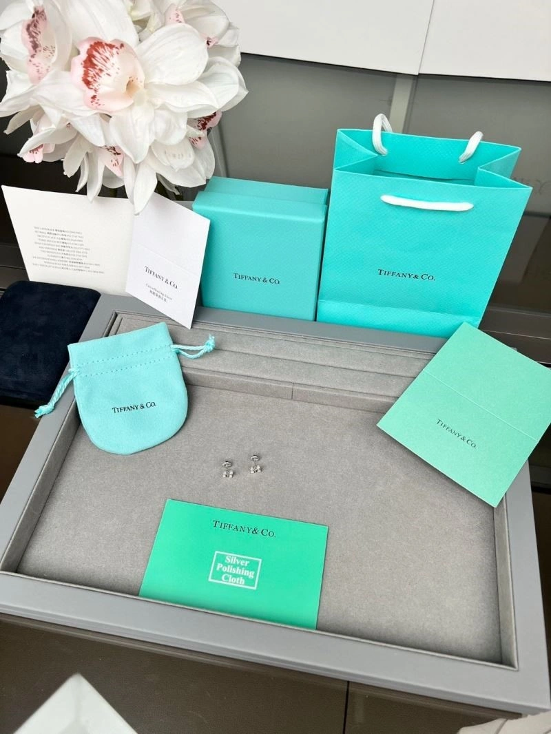 Tiffany Earrings BestValue 253119