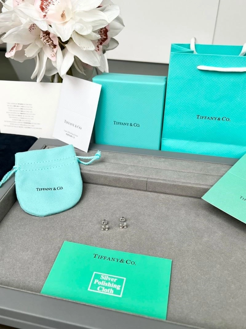 Tiffany Earrings BestValue 253119