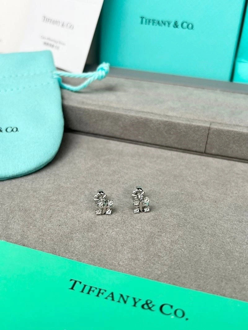 Tiffany Earrings BestValue 253119