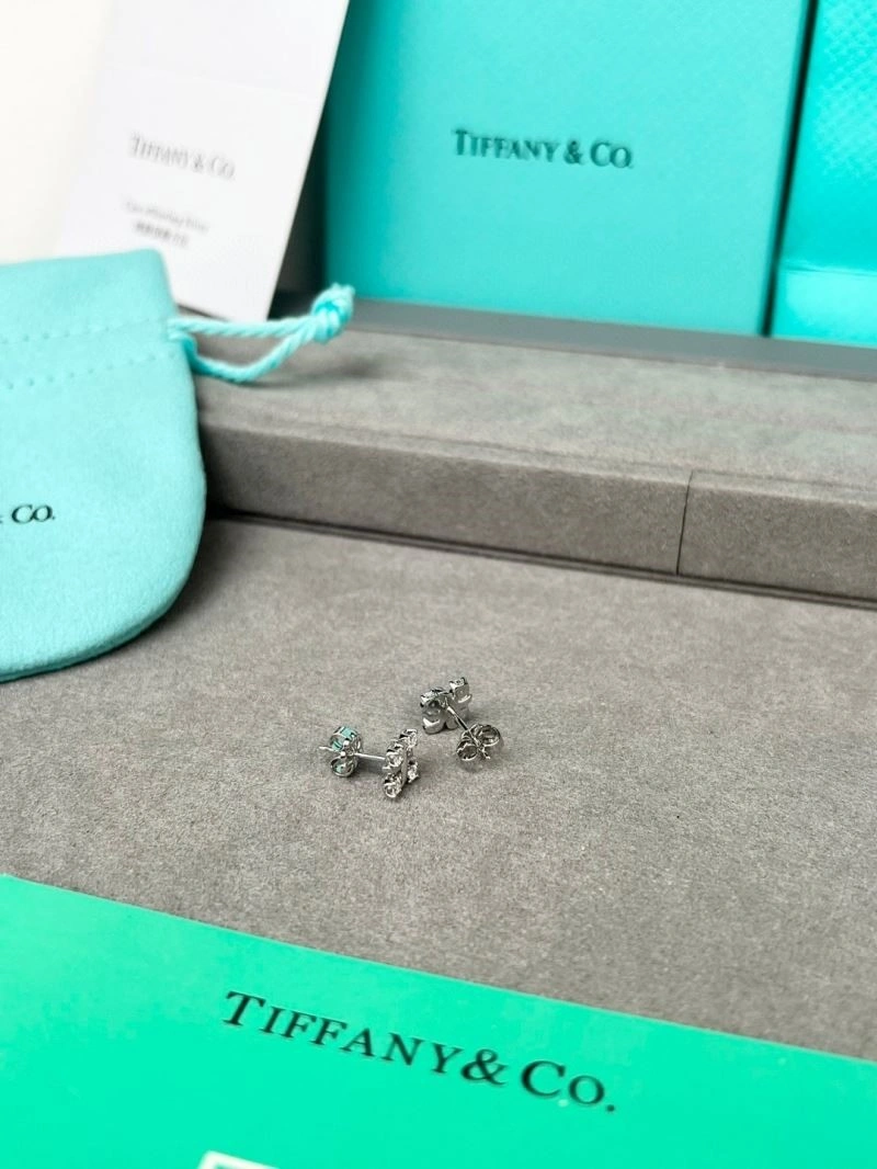 Tiffany Earrings BestValue 253119
