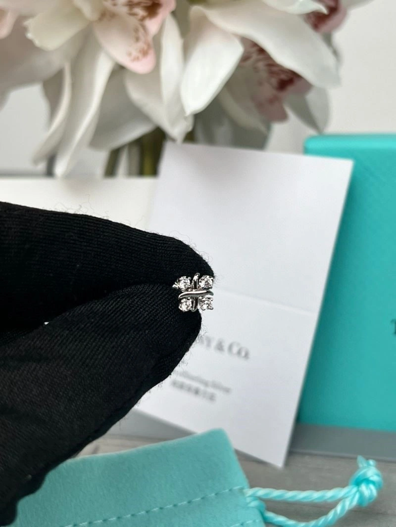 Tiffany Earrings BestValue 253119
