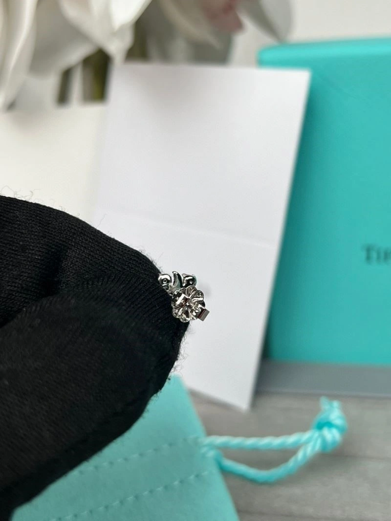 Tiffany Earrings BestValue 253119