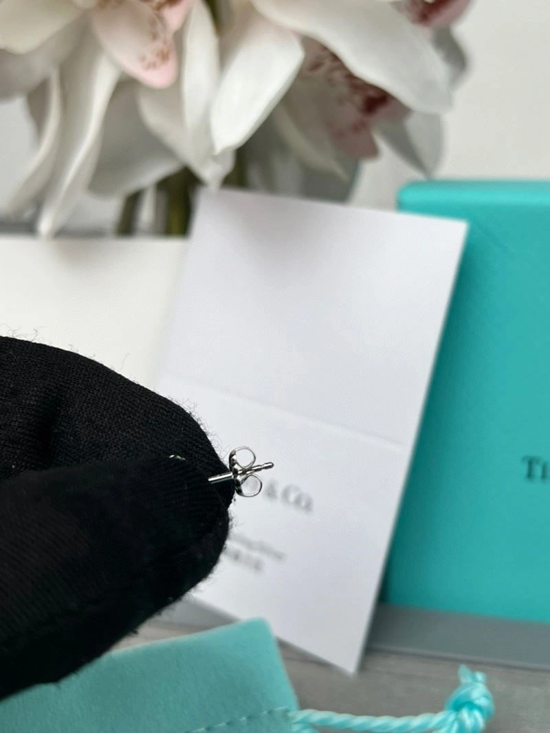Tiffany Earrings BestValue 253119