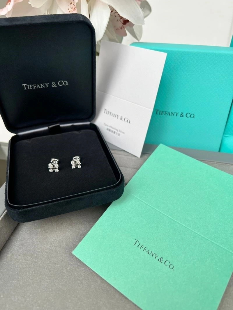 Tiffany Earrings BestValue 253119