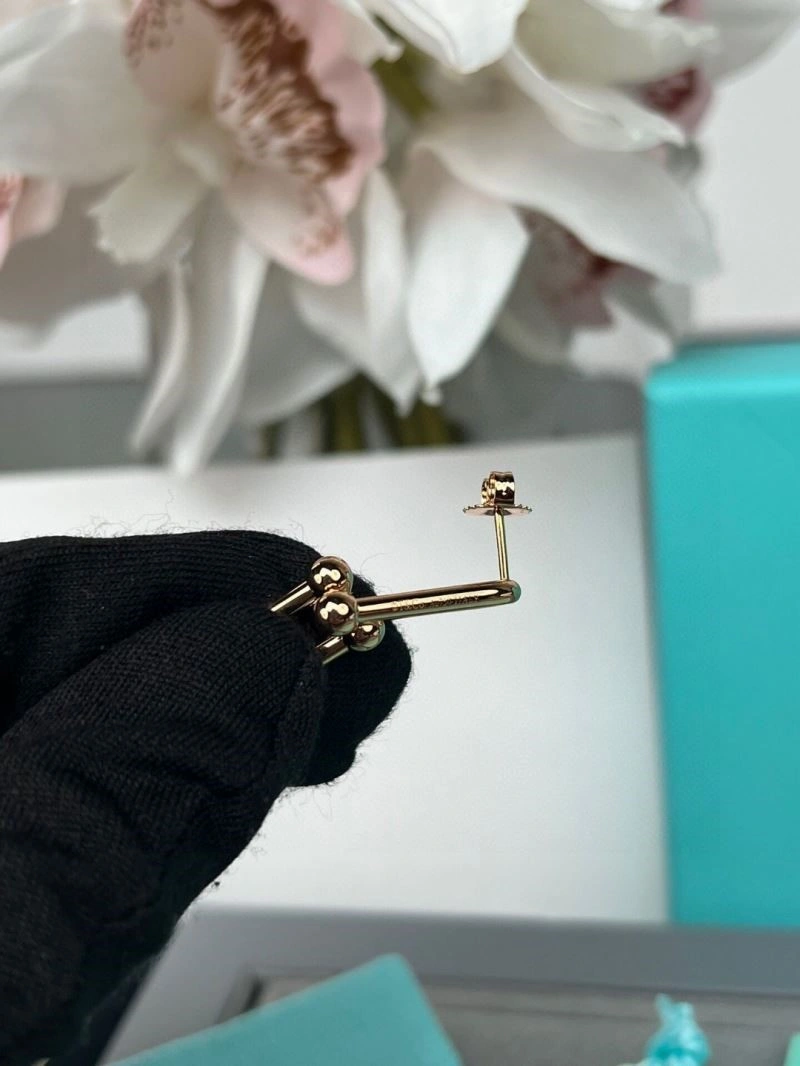 Youthful Tiffany Earrings 253096