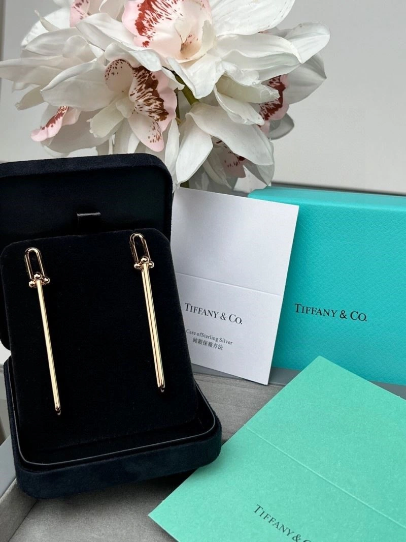 Youthful Tiffany Earrings 253096