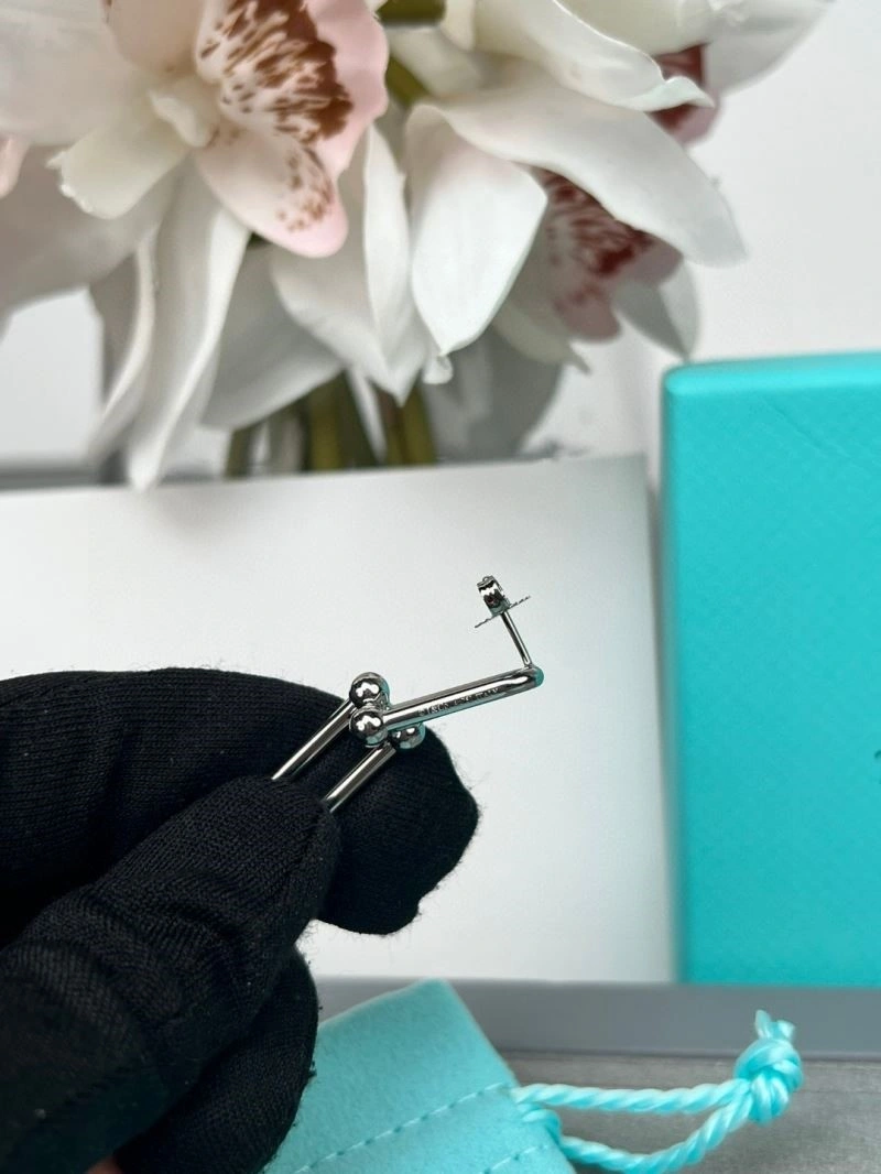 Tiffany Earrings FlexibleFit 253111
