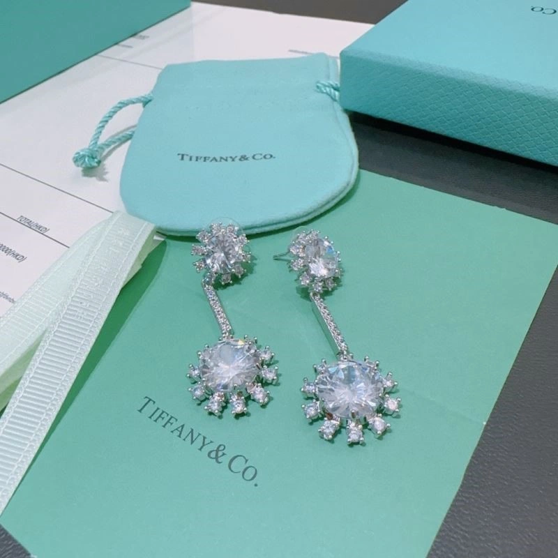Tiffany Earrings EasyMatch 252846