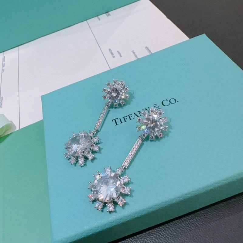 Tiffany Earrings EasyMatch 252846