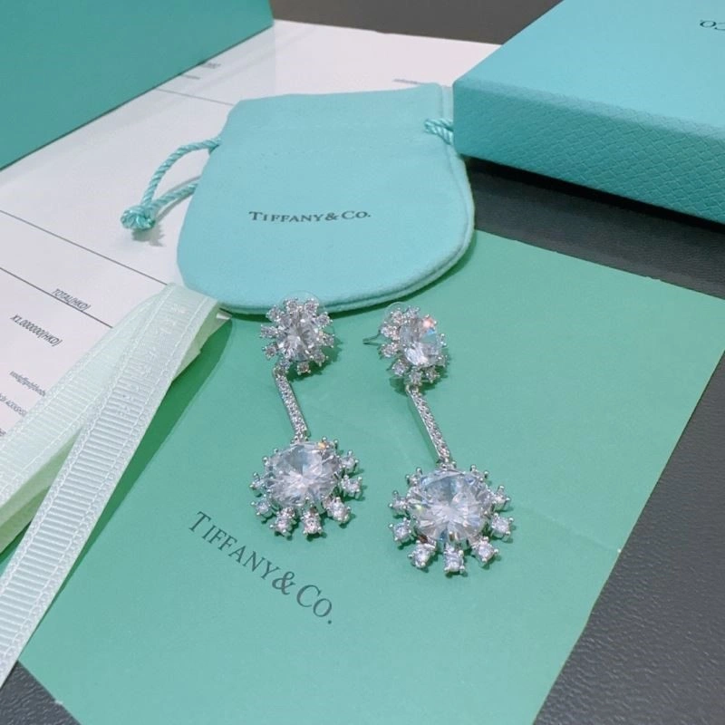 Tiffany Earrings EasyMatch 252846