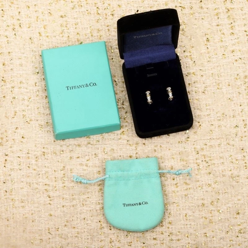 Tiffany Earrings QuickDry 252851