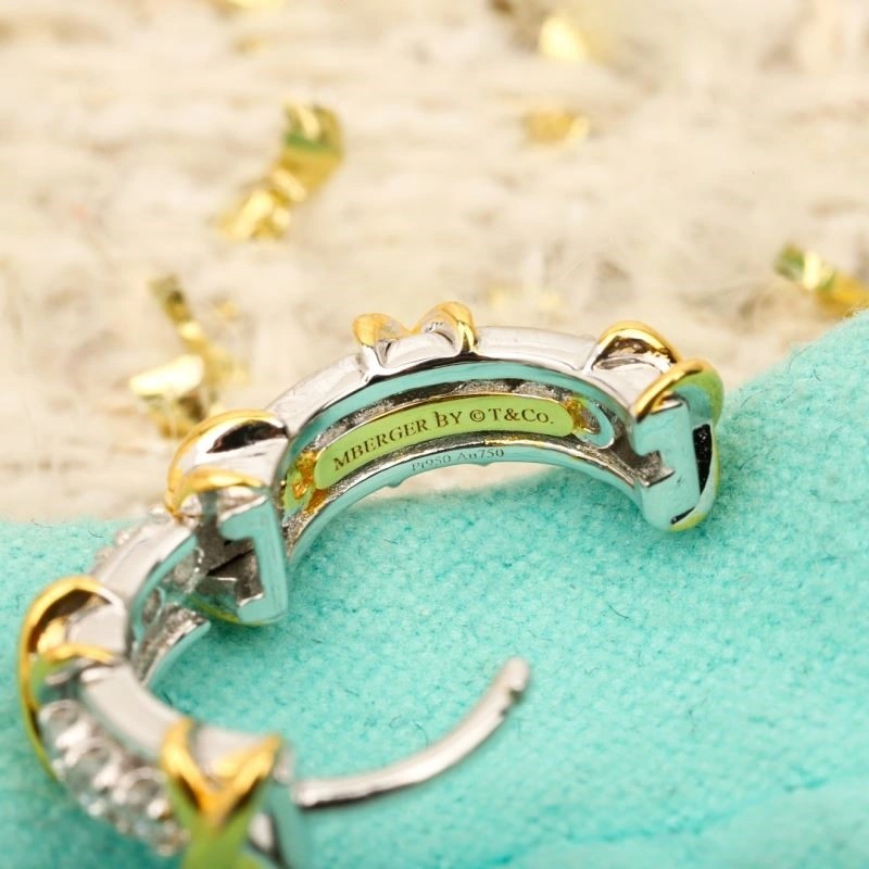 Tiffany Earrings QuickDry 252851