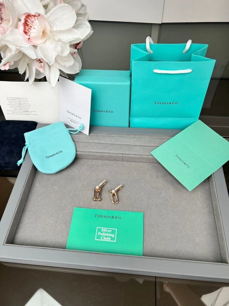 HighPerformance Tiffany Earrings 252742