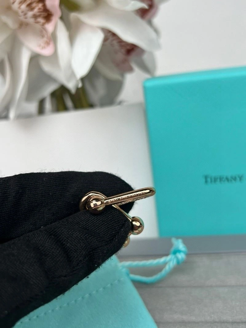 HighPerformance Tiffany Earrings 252742