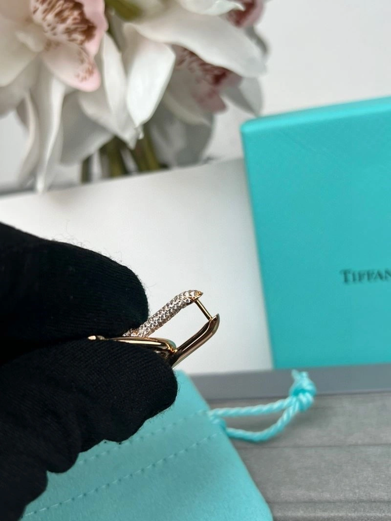 HighPerformance Tiffany Earrings 252742
