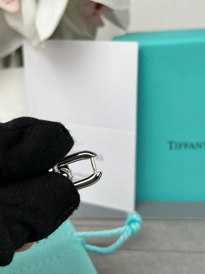 Tiffany Earrings SunProtective 252737