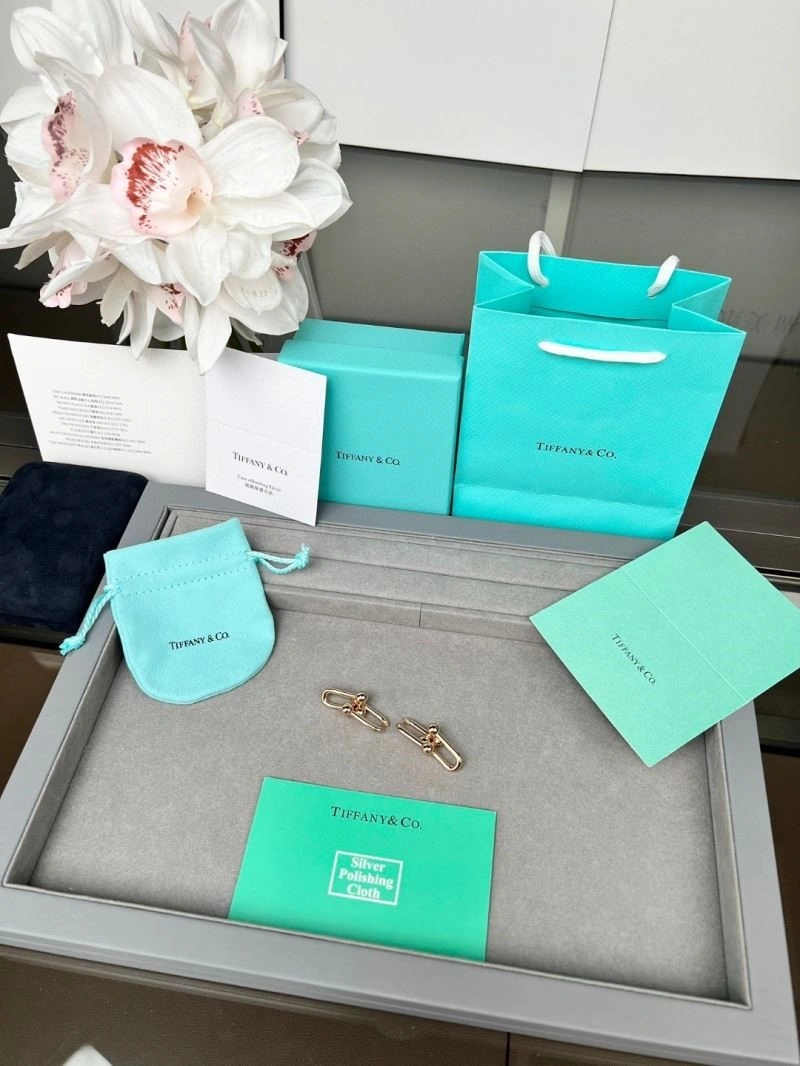 Sleek Tiffany Earrings 252731