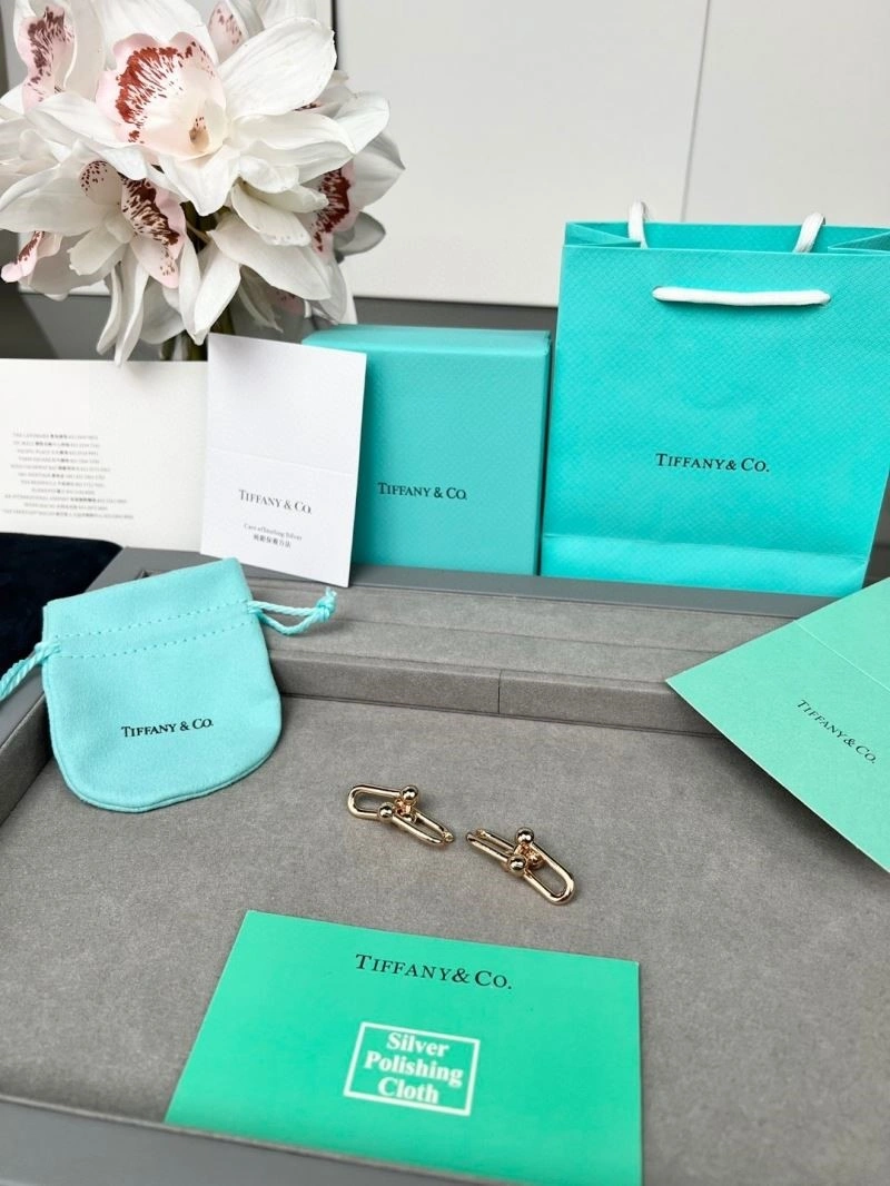 Sleek Tiffany Earrings 252731