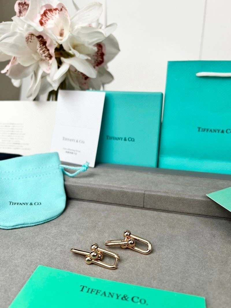 Sleek Tiffany Earrings 252731
