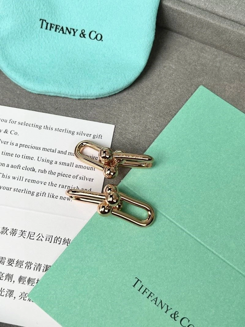 Sleek Tiffany Earrings 252731