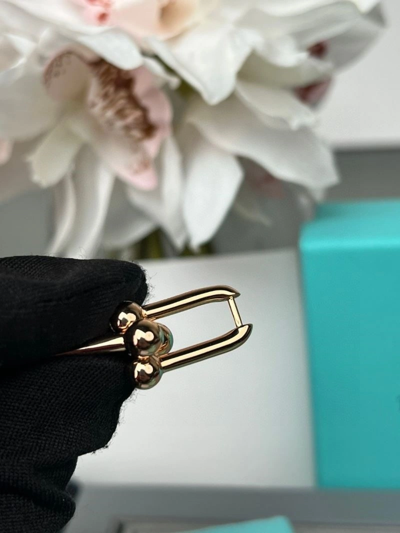 Sleek Tiffany Earrings 252731