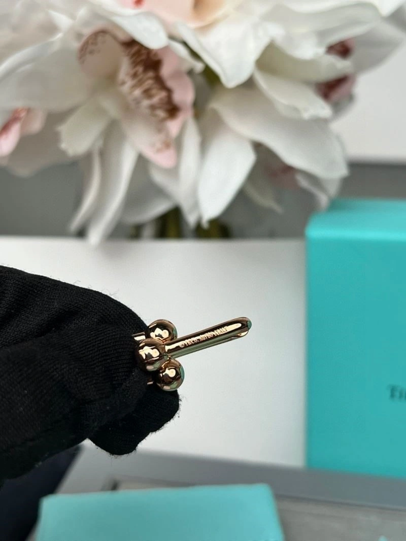 Sleek Tiffany Earrings 252731