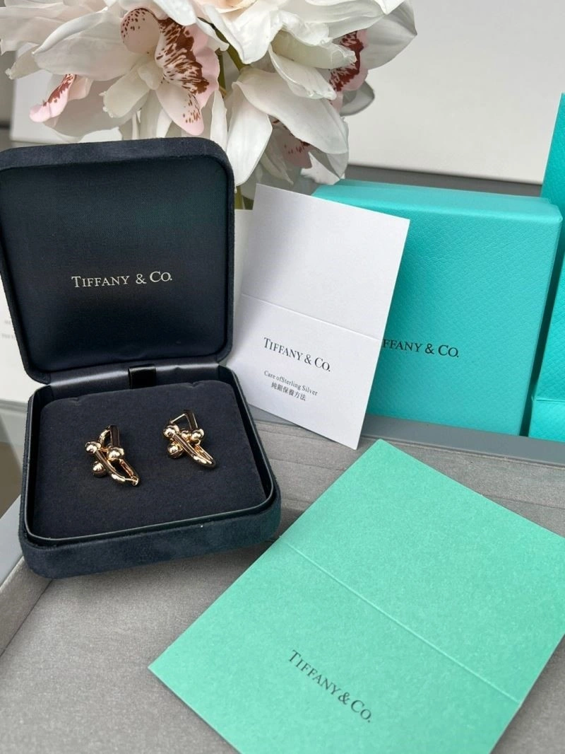 Sleek Tiffany Earrings 252731