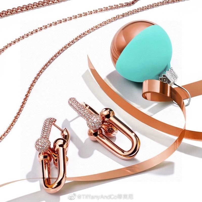 Tiffany Earrings TopPick 252748