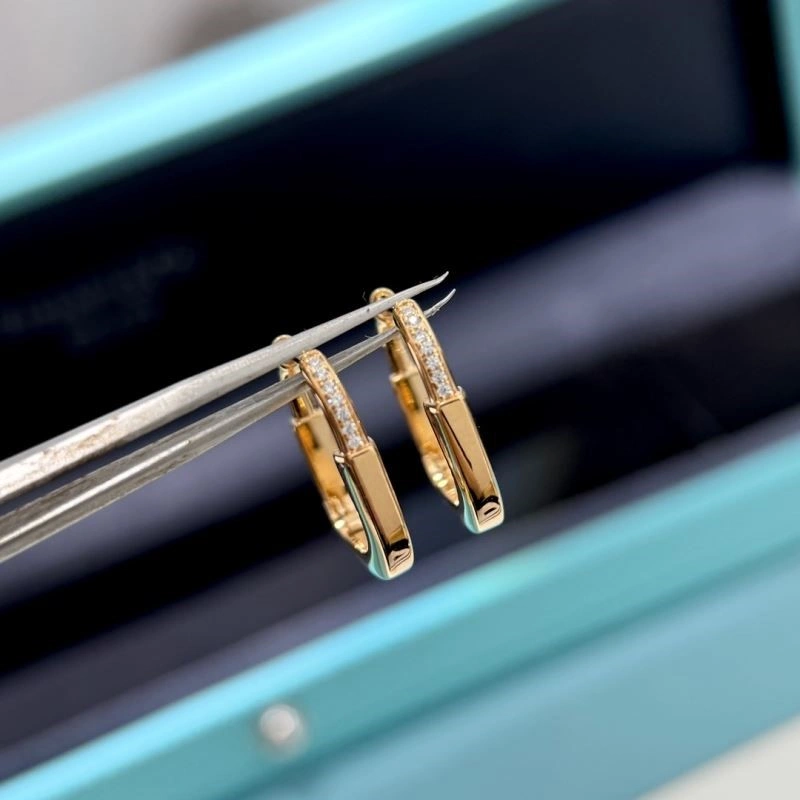 Tiffany Earrings ModernLook 252716