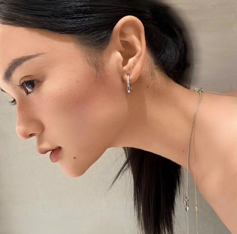 Tiffany Earrings Durable 252715