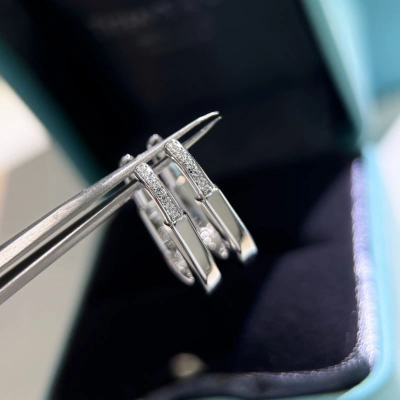 Tiffany Earrings Durable 252715