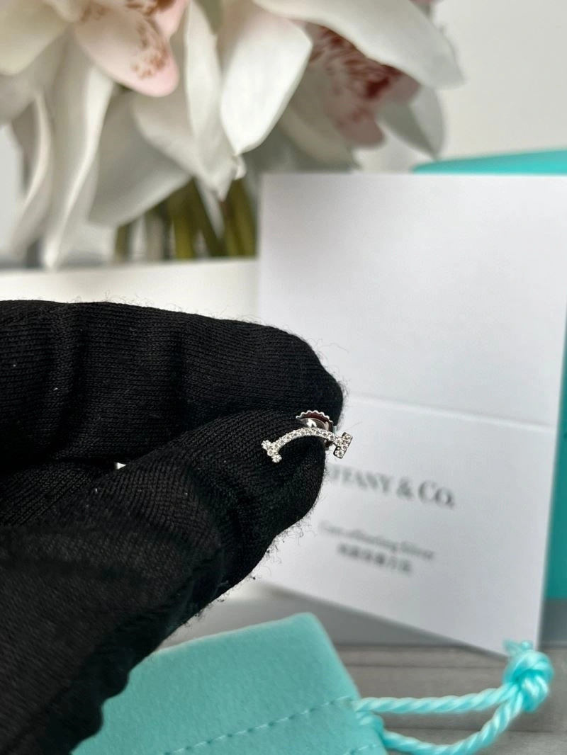 Tiffany Earrings Vibrant 252689
