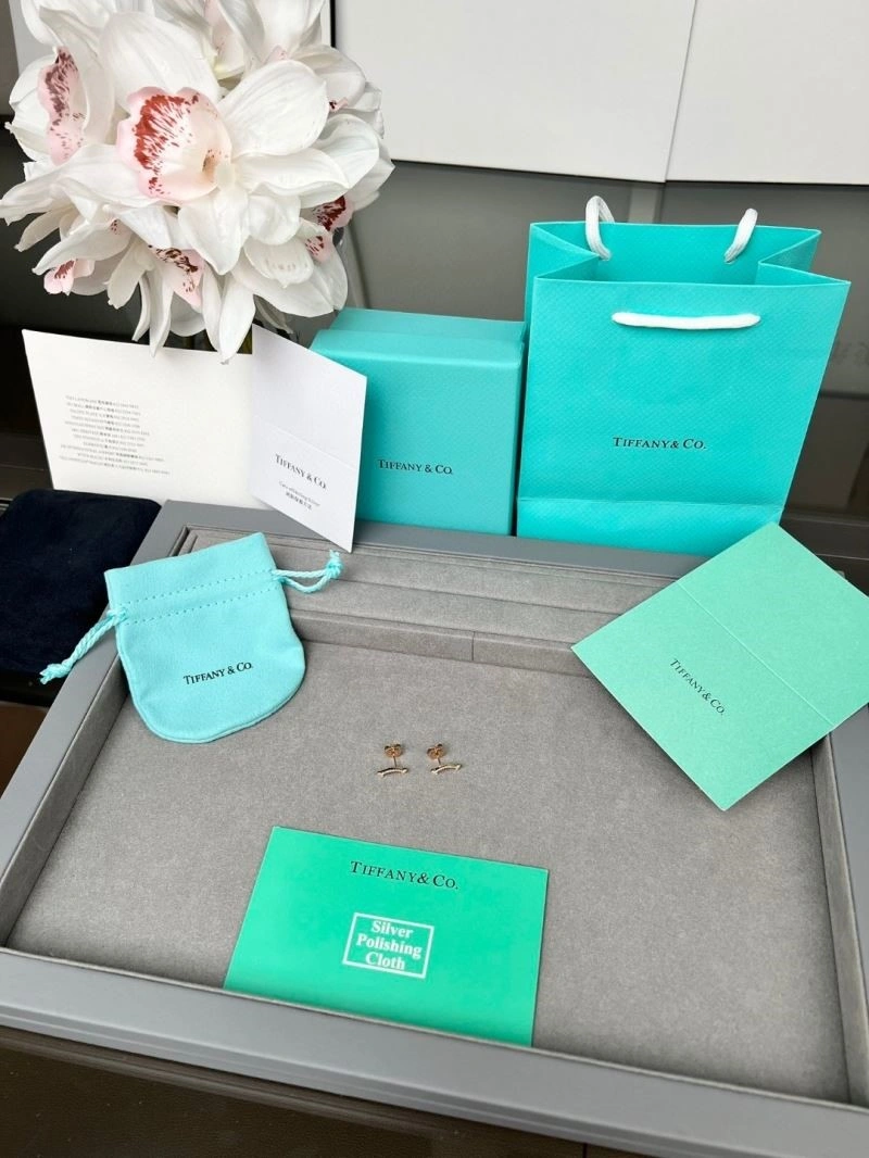 Tiffany Earrings Modern 252694