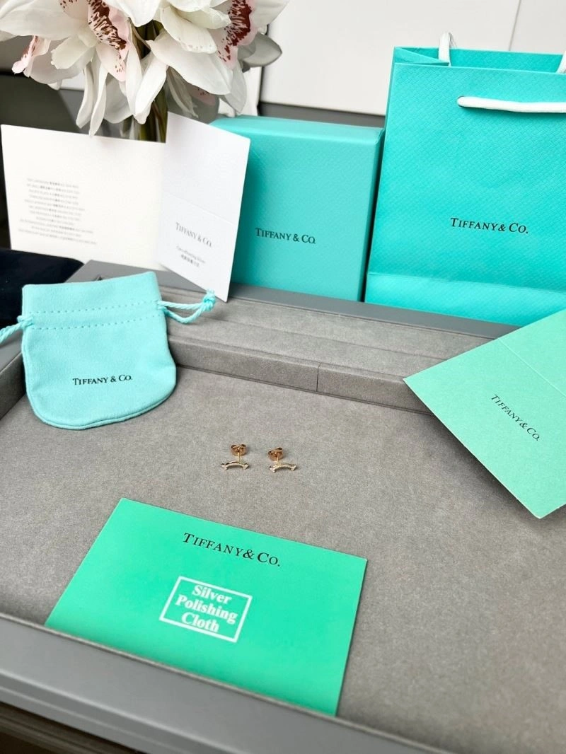 Tiffany Earrings Modern 252694