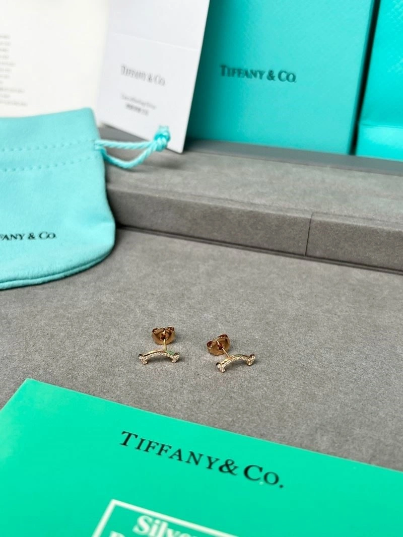 Tiffany Earrings Modern 252694