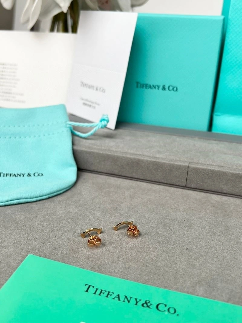 Tiffany Earrings Modern 252694